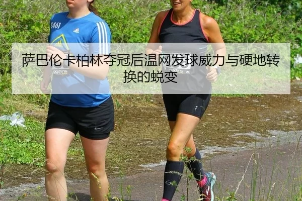 sa-ba-lun-ka-bo-lin-duo-guan-hou-wen-wang-fa-qiu-wei-li-yu-ying-di-zhuan-huan-de-tui-bian-2-221.jpg